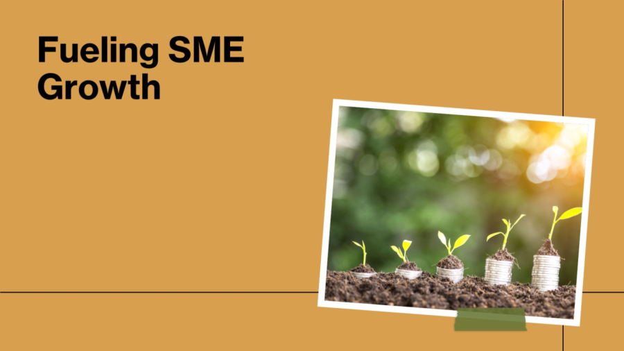 sme growth